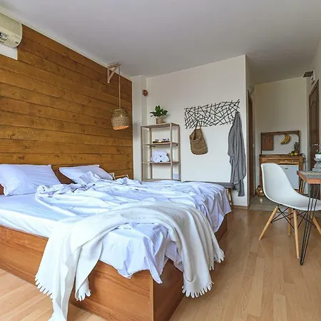 The Monkee * Свети-Влас